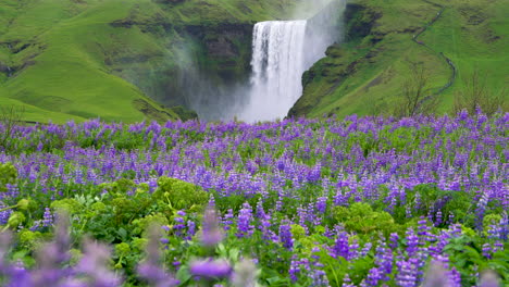 Cascada-De-Skogafoss-En-Islandia-En-Verano.