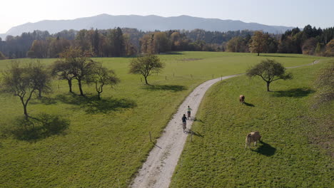 dos ciclistas disfrutando de un paseo a lo largo de la carretera a través de pastos en un otoño, aéreo