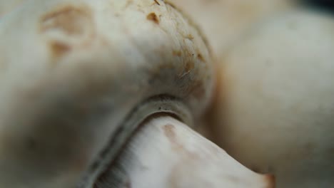 video macro nítido de una pila de setas, champignones crudos detallados, reflejo de capas blancas, en un soporte giratorio, movimiento suave, cámara lenta 120 fps