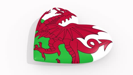 heart in colors and symbols of wales on white background, loop