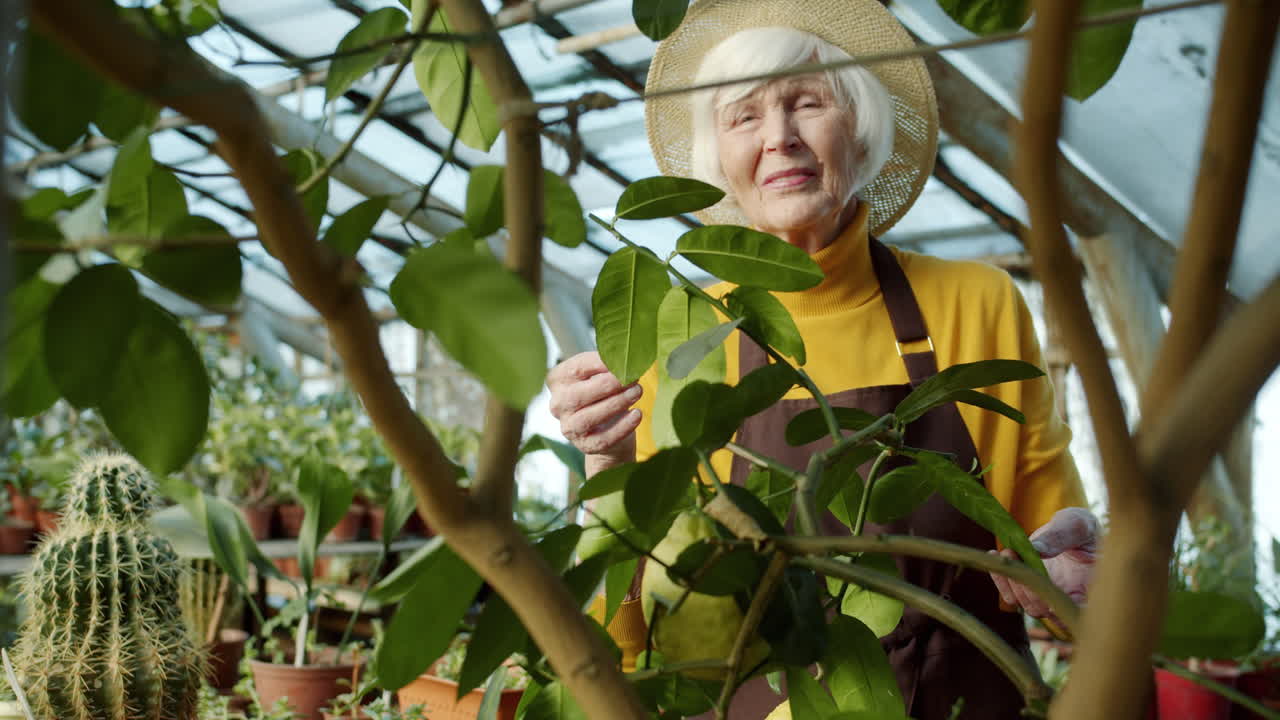 Elderly Woman in Greenhouse