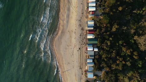 Solitary-beach-walker-following-shoreline-with-gentle-waves-lapping-next-to-beautiful-beach-boxes