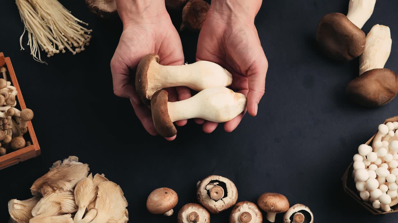 Variety of Fresh Mushrooms