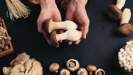 variety of fresh mushrooms