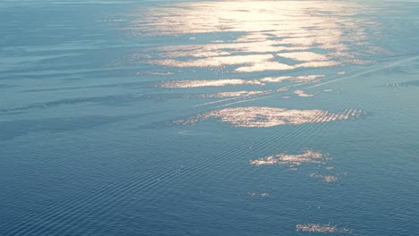 calm ocean waters with sunlight reflecting off the surface, italy, aerial view