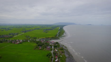 volando sobre campos de arroz verde en tierras agrícolas en la playa