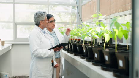 scientist, tablet and teamwork of women