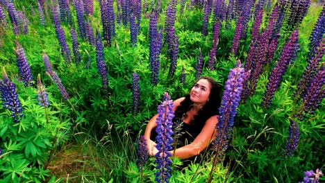 Mädchen,-Das-In-Einem-Lupinenfeld-Sitzt-Und-Zum-Himmel-Im-Milford-Sound,-Neuseeland,-Aufblickt