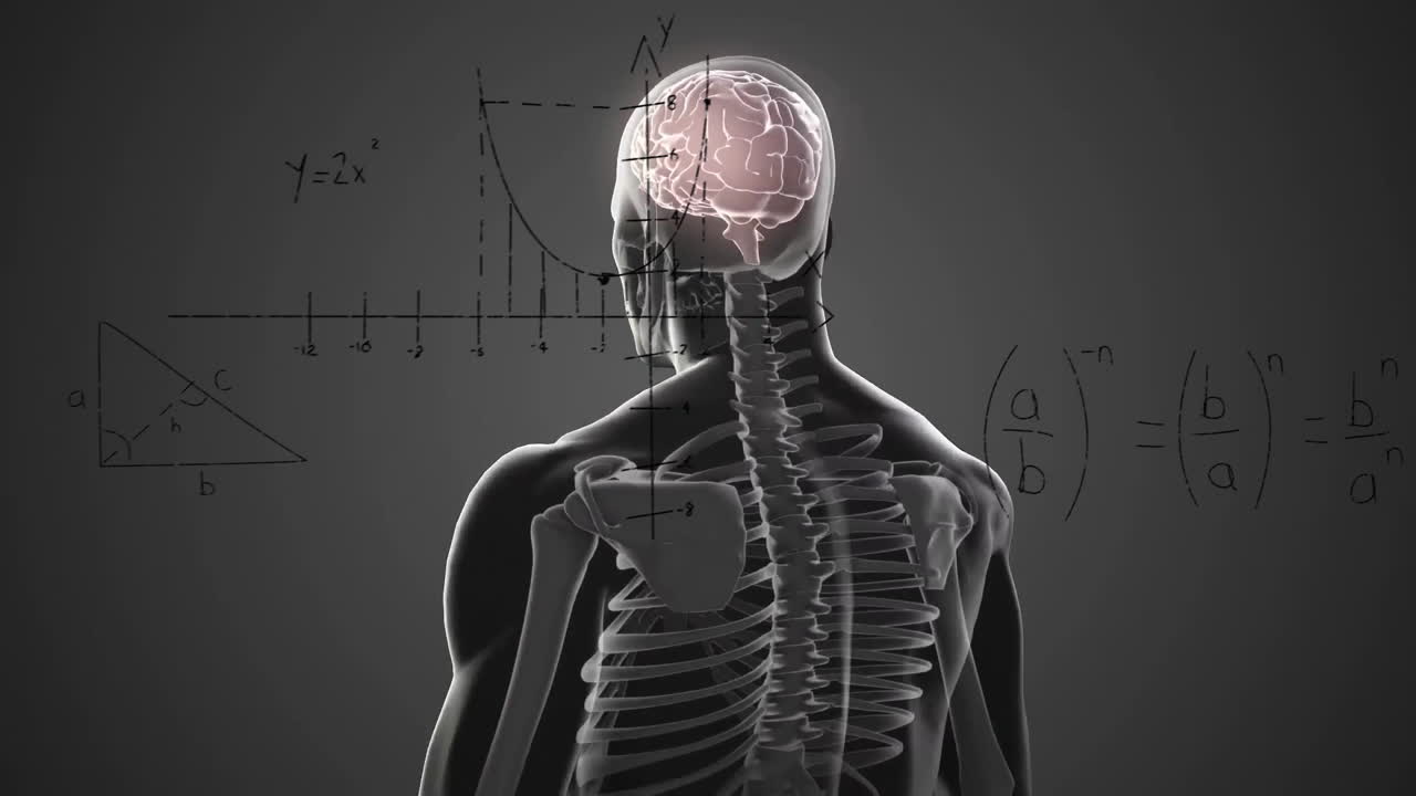 Animation of human skeleton with brain and equations on dark background
