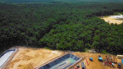 cinematic drone footage of onshore drilling rig equipment structure for oil exploration and exploitation in the middle of jungle surrounded by palm oil trees during sunset and high oil price