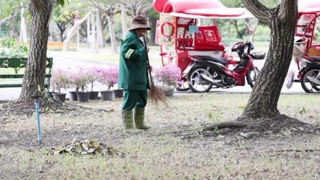 worker sweeping leaves under trees in park.