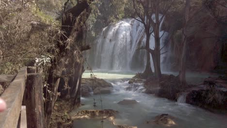 serene waterfall in lush forest