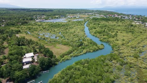 explore the lush mangrove forests of lombok, indonesia, vital ecosystem supports rich biodiversity, protects coastlines, and offers a serene escape into nature's beauty