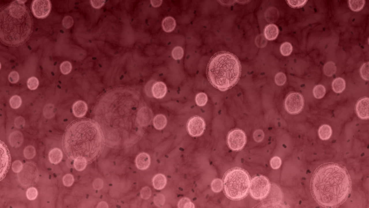 zoom, bacterias y microscopio científico en el laboratorio