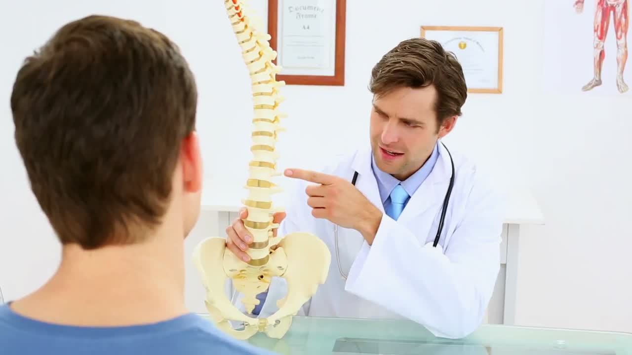 el médico muestra al paciente un modelo de columna vertebral.