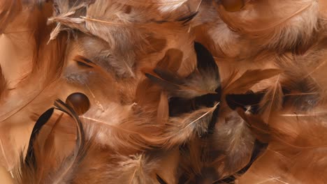 top view of a minimal background with soft and fluffy white, brown and black feathers falling, near some stones, on a light wooden background