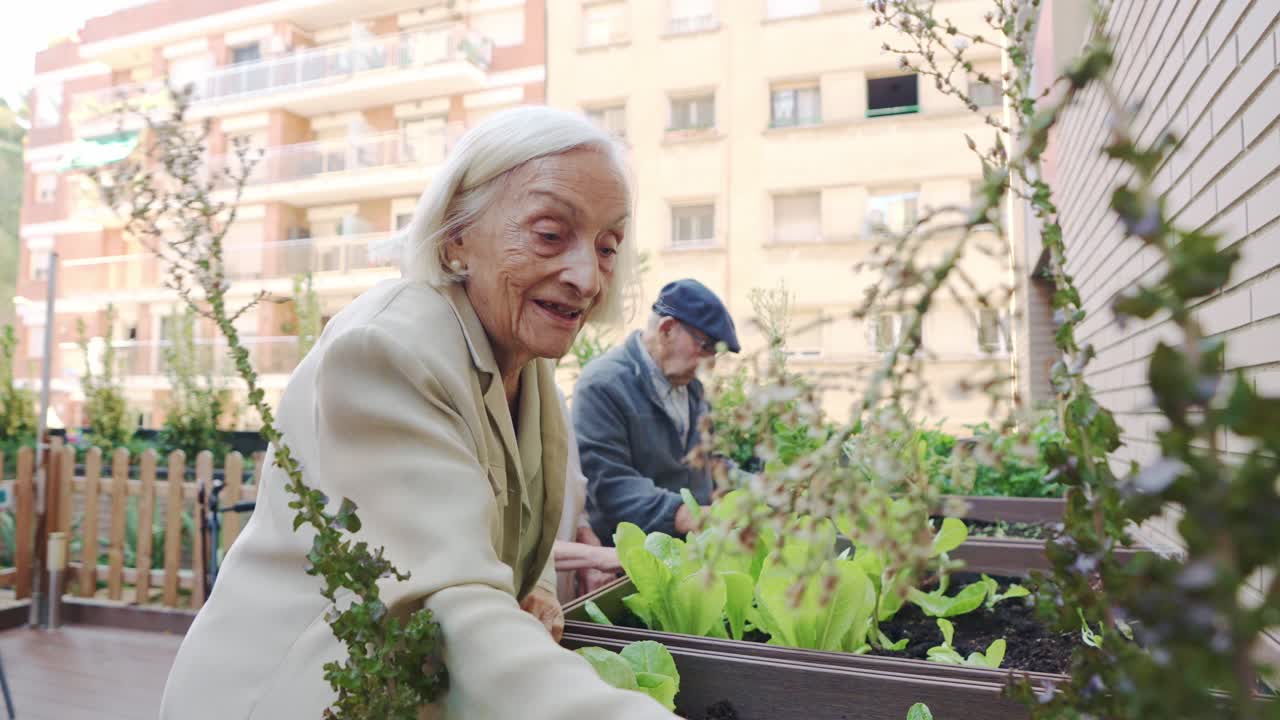 Elderly people gardening on a balcony