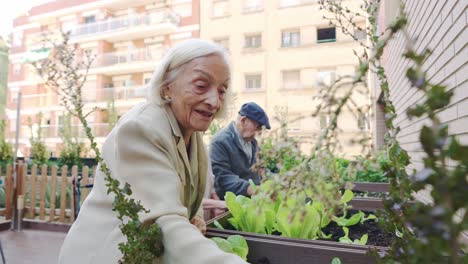 elderly people gardening on a balcony