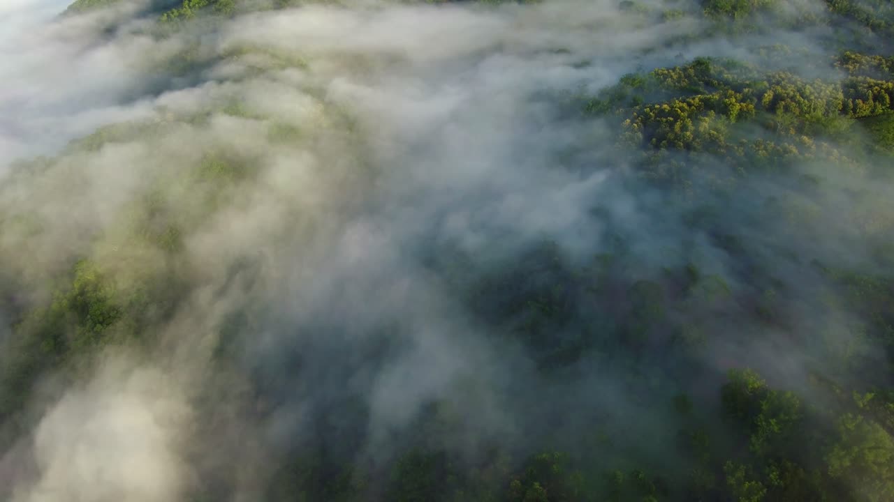 niebla ascendente formándose en la exuberante selva tropical de la provincia tropical de guanacaste, costa rica, antena
