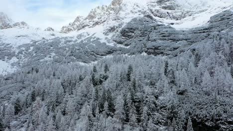 drone-shot-of-snowy-forest