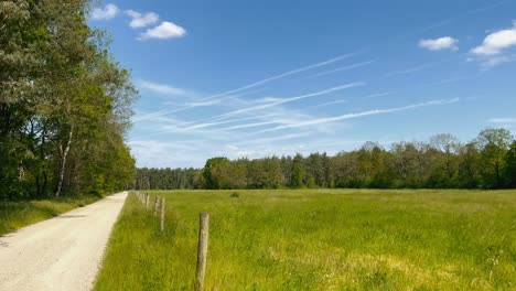 Deserted-forest-path-with-meadow-during-springtime-in-the-netherlands