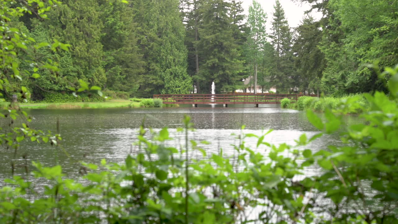 소나기가 내리는 동안 동네 연못 위의 인도교의 넓은 전망, 배경의 분수