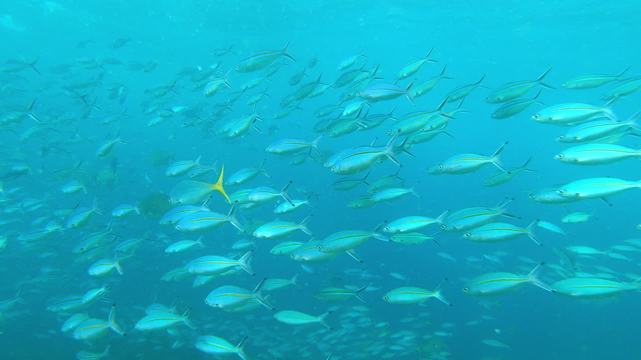 여기는  ⁇   ⁇ 비는 곳이죠.