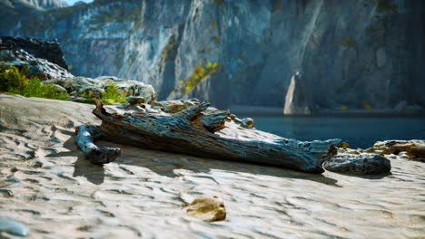 paisaje panorámico de la playa con madera a la deriva