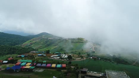 scenic drone footage of cabbage plantation with foggy weather in background