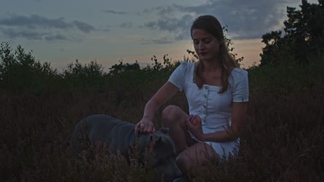 mujer joven acariciando a su perro en un campo de brezo