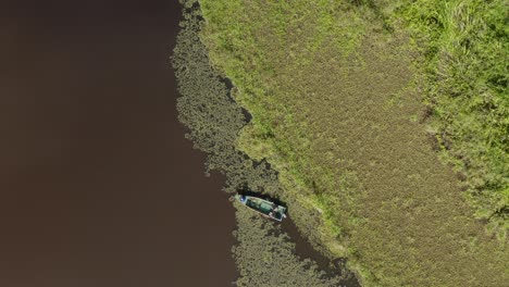 Beautiful-aerial-view-of-the-oxbow-lake-in-Borneo-jungle,-Malaysia-with-water-lily,-reeds-and-willow