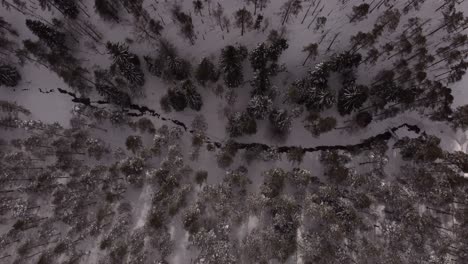 Drone-Volando-Sobre-árboles-Nevados-Y-Río