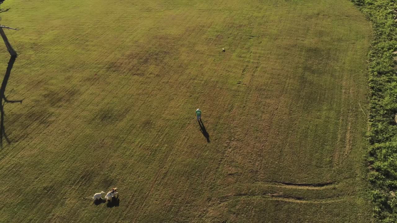 공원에서 노는 남자와 그의 동