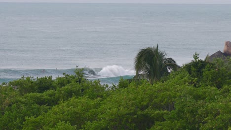 shot of some people surfing in mexico