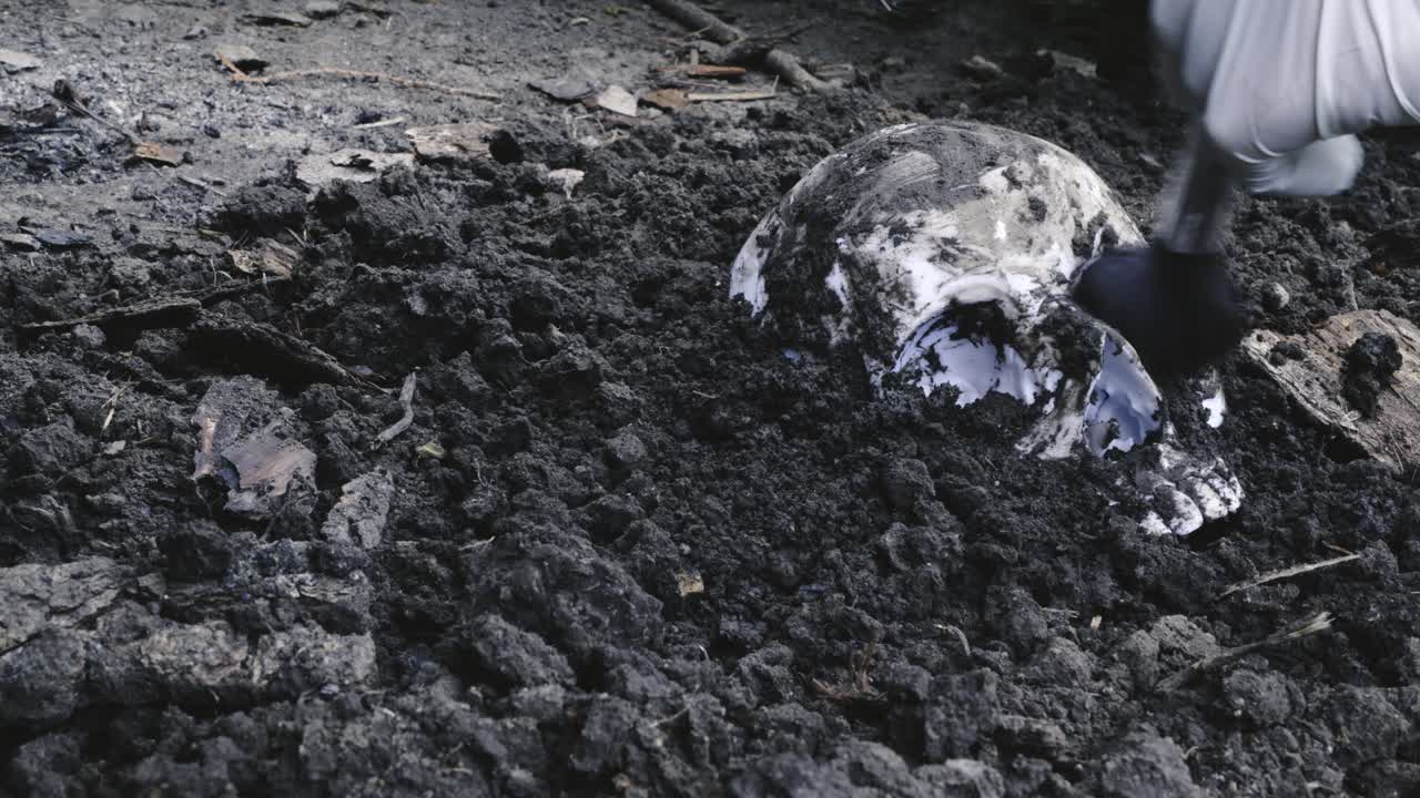 Forensic archeologist brushes dirt from human skull buried in soil