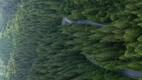 vertical ascending wide shot of curvy mountain road in nyerges teto romania