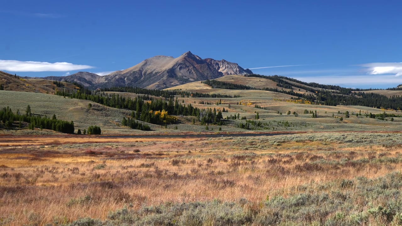 Yellowstone nationalpark, öppen dal, bergsplatåer, naturlandskap. Sceneri från Madison Norris Junction, Wyoming, Bighorn Pass, Bunsen Peak, Grizzly Lake, Beaver Lake. Höst, solig eftermiddag med blå himmel