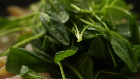 anonymous cook adding spinach to pasta with cream