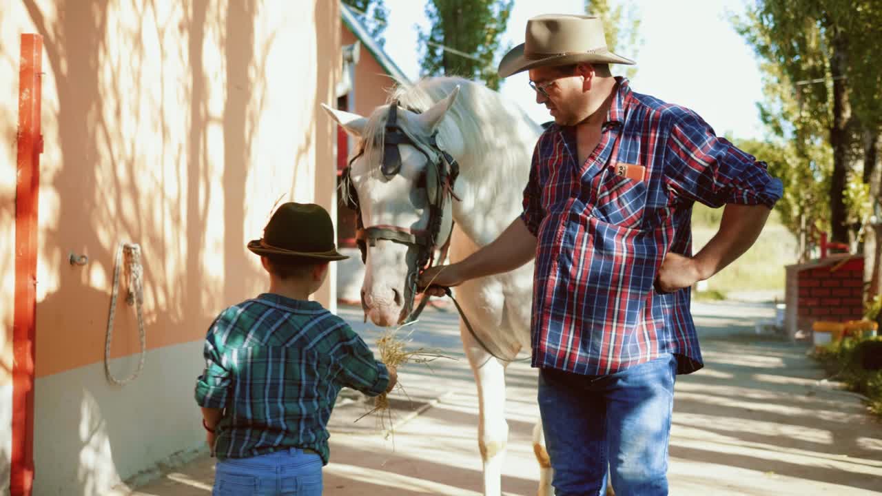 el niño alimenta al caballo.