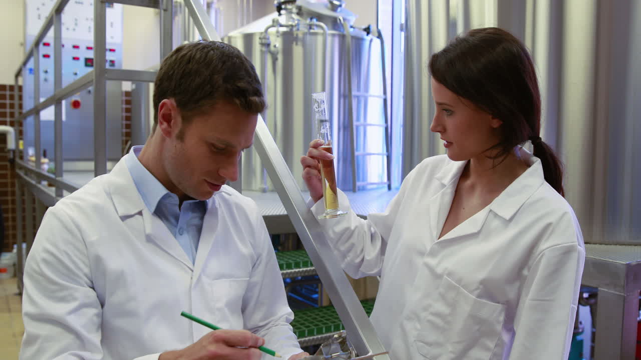 equipo de cerveceros que trabajan juntos