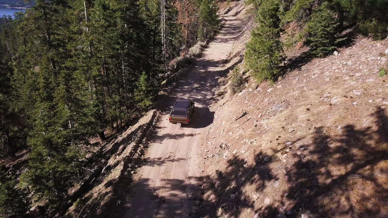 어두운 suv 트럭은 키 큰 소나무가 드리운 산불길에서 어두운 그림자를 통해 천천히 운전합니다