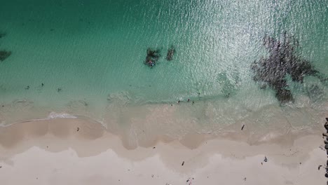 drone footage of people swimming and cooling off at mindarie beach showing off the clear ocean water and white sands of perth western australia