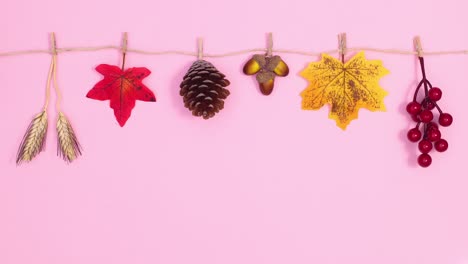 autumn leaves and decorations move hanged on rope. stop motion