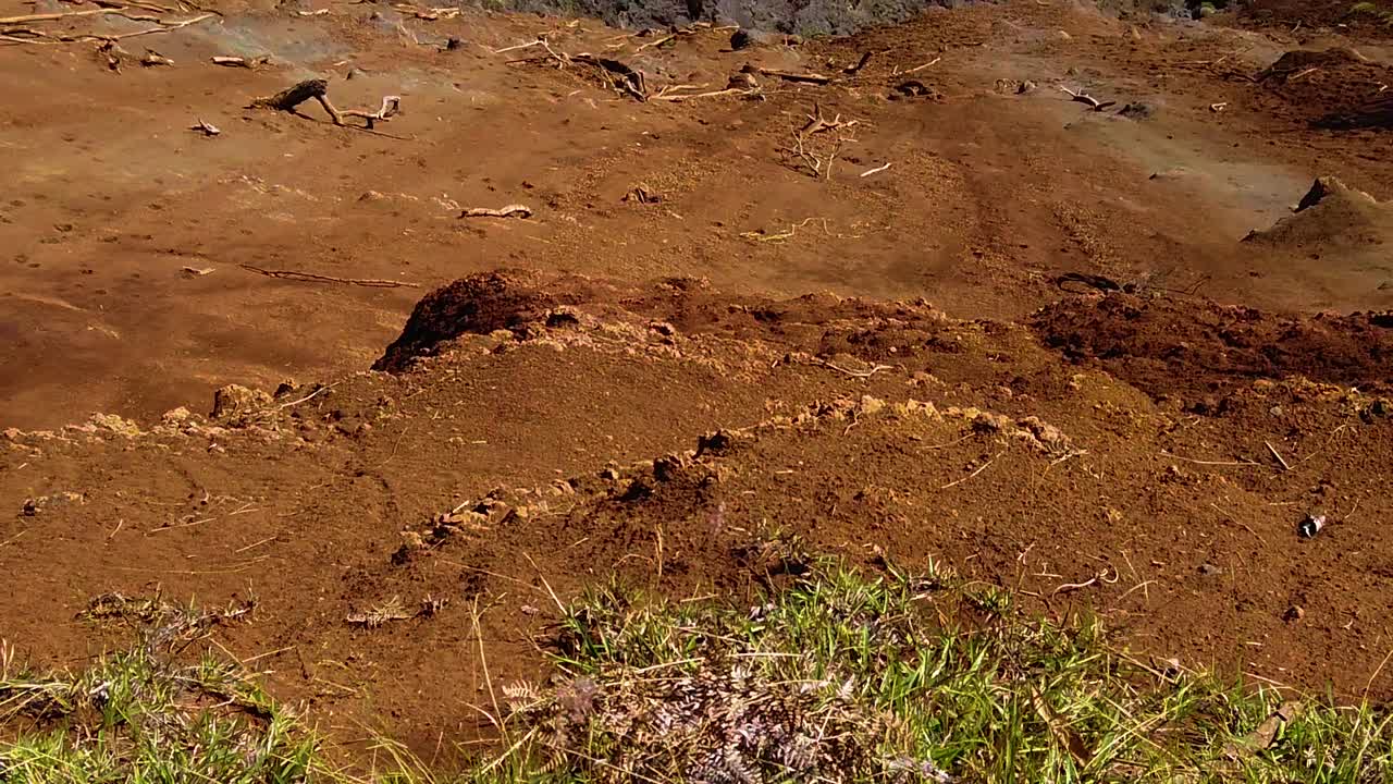 hd 하와이 카우아이 슬로우 모션은 잔디와 흙에서 위로 기울어져 멀리 있는 폭포와 부분적으로 흐린 하늘이 있는 와이메아 협곡을 드러냅니다.