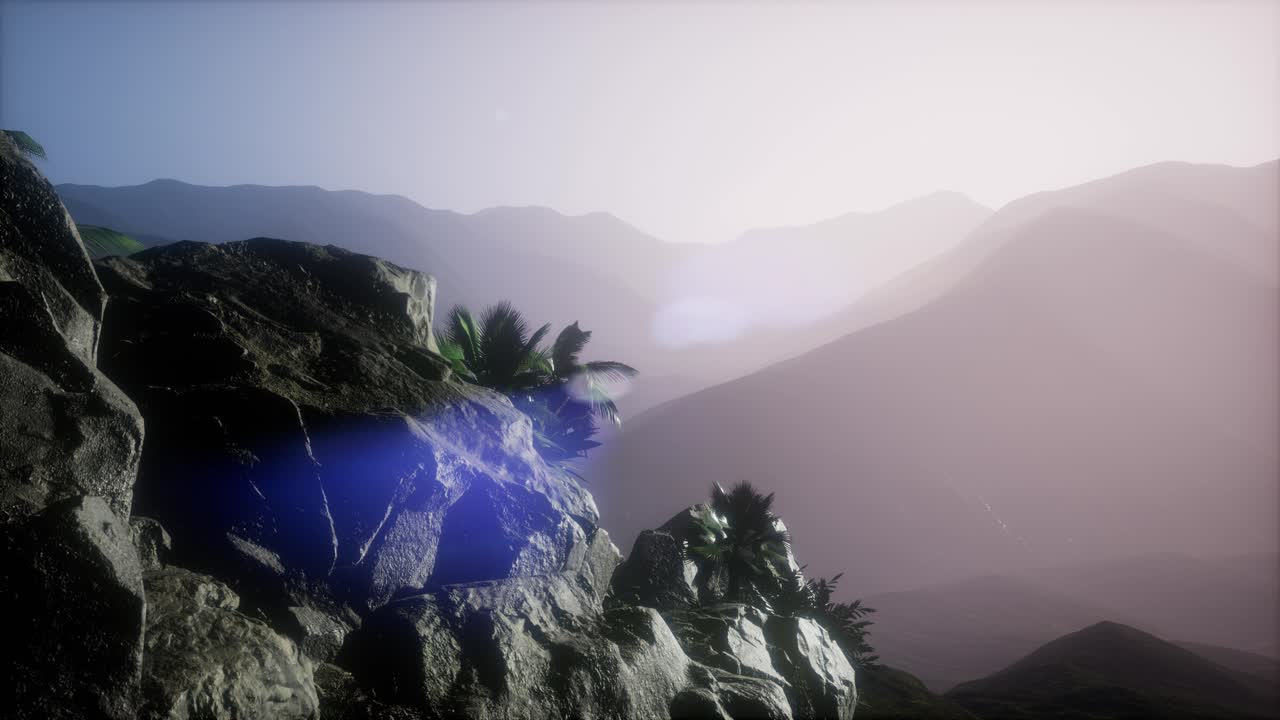 ⁇ 나무 를 가로지르는 해 가 지는 광선