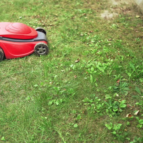 process of cutting green grass by lawn mower. homeowner working in the yard with electric lawn mower in summer day.