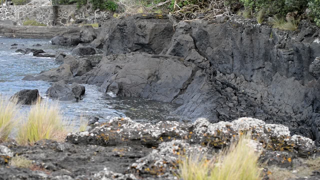 acantilados escarpados en una playa en la isla norte de nueva zelanda durante la marea baja con hierba amarilla ondeando en el viento costero tranquilo