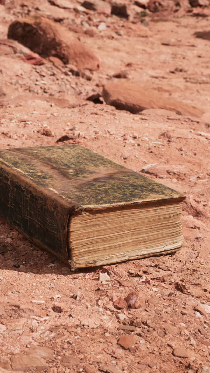Un vecchio libro trovato nel deserto