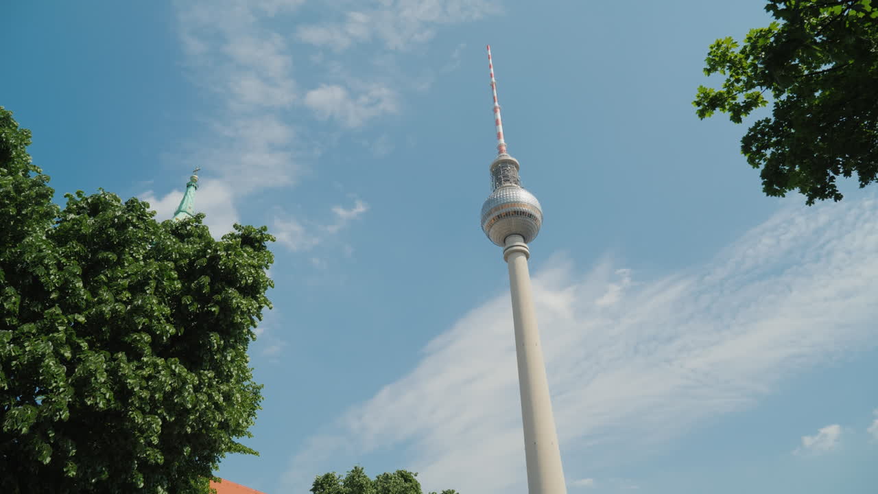 베를린 tv 타워와 나무 캐노피 02