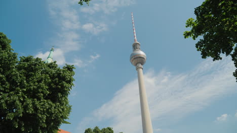 torre de televisión de berlín y dosel de árboles 02